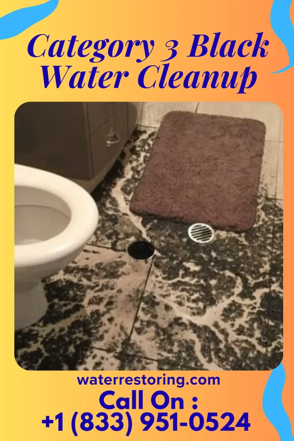 Category 3 Black Water Cleanup in South Haven, MN